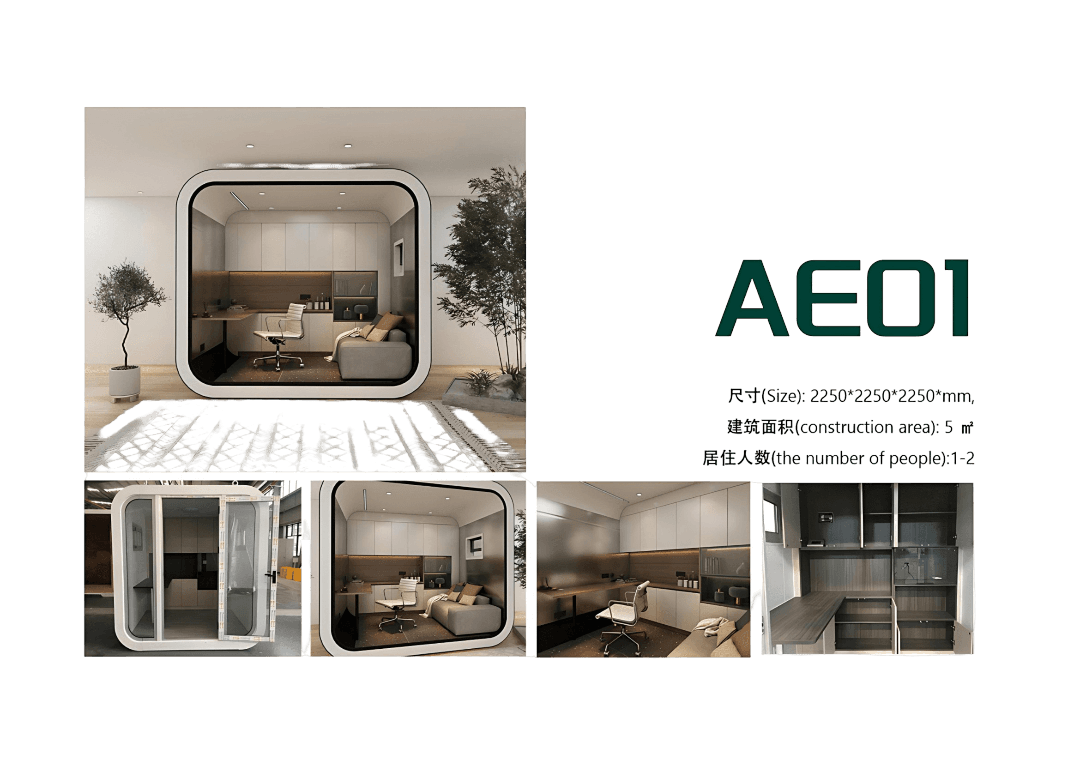AE01